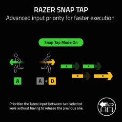 Teclado Razer BlackWidow V4 X