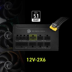 Fuente de poder MSI MAG A1000GLS