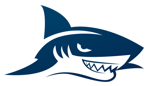Gameshark